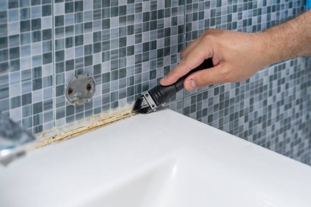 Best Mold Testing  in Antioch, IL