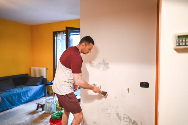 Best Certified Mold Removal  in Antioch, IL